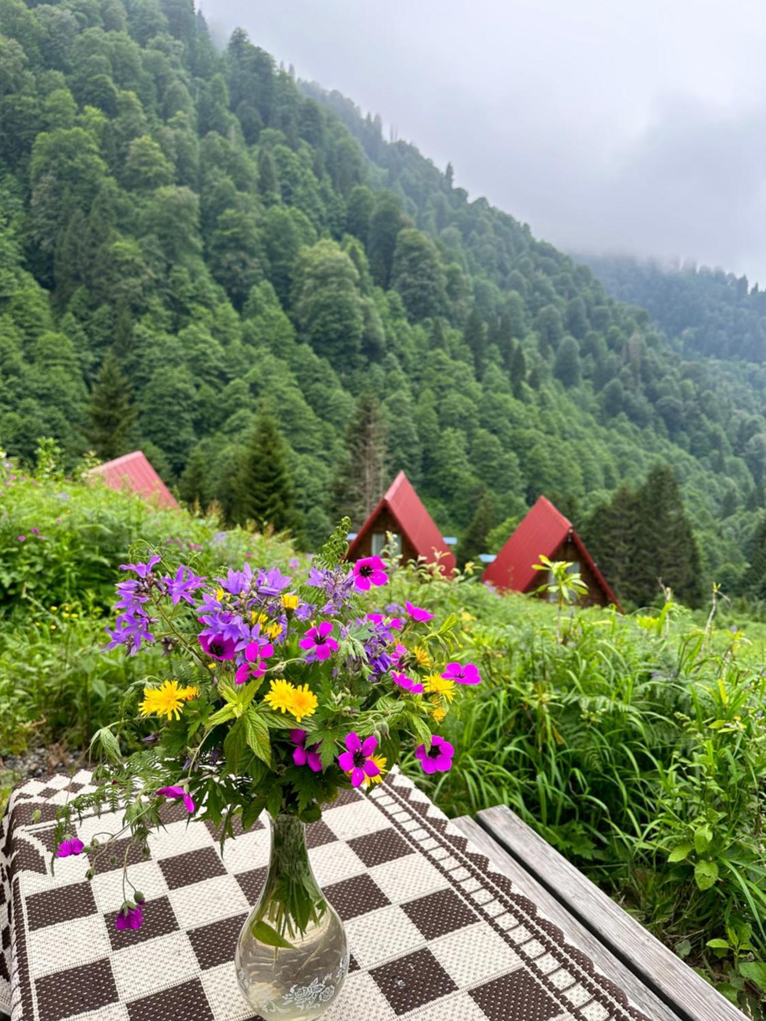 Ayder Villa Gencal Ayder Yaylasi Exterior foto